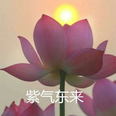 08版副刊 - 边城翠翠（大地风华）